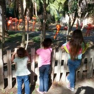 Meet your Posher, Raquel